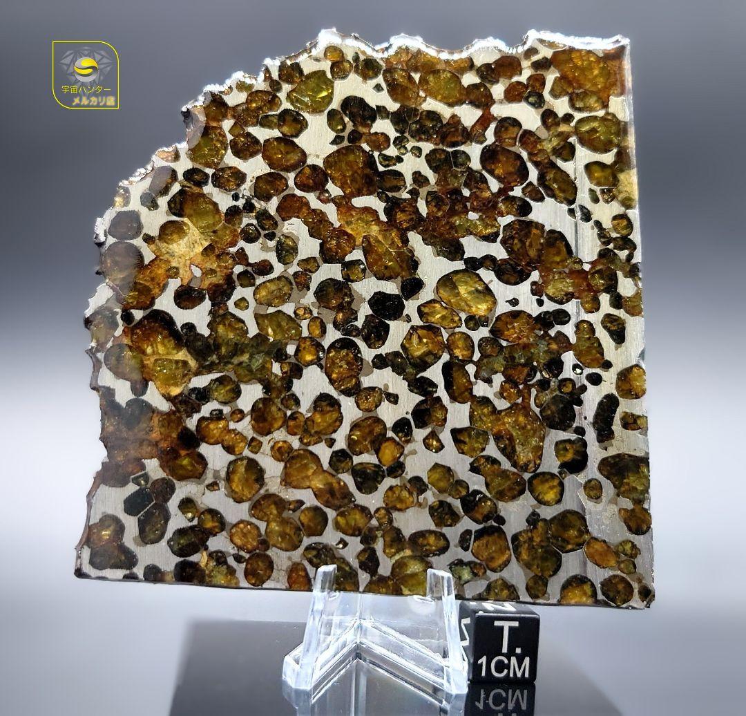 隕石スプリングウォーター パラサイト 91.5g❗ Springwater⭐⭐⭐