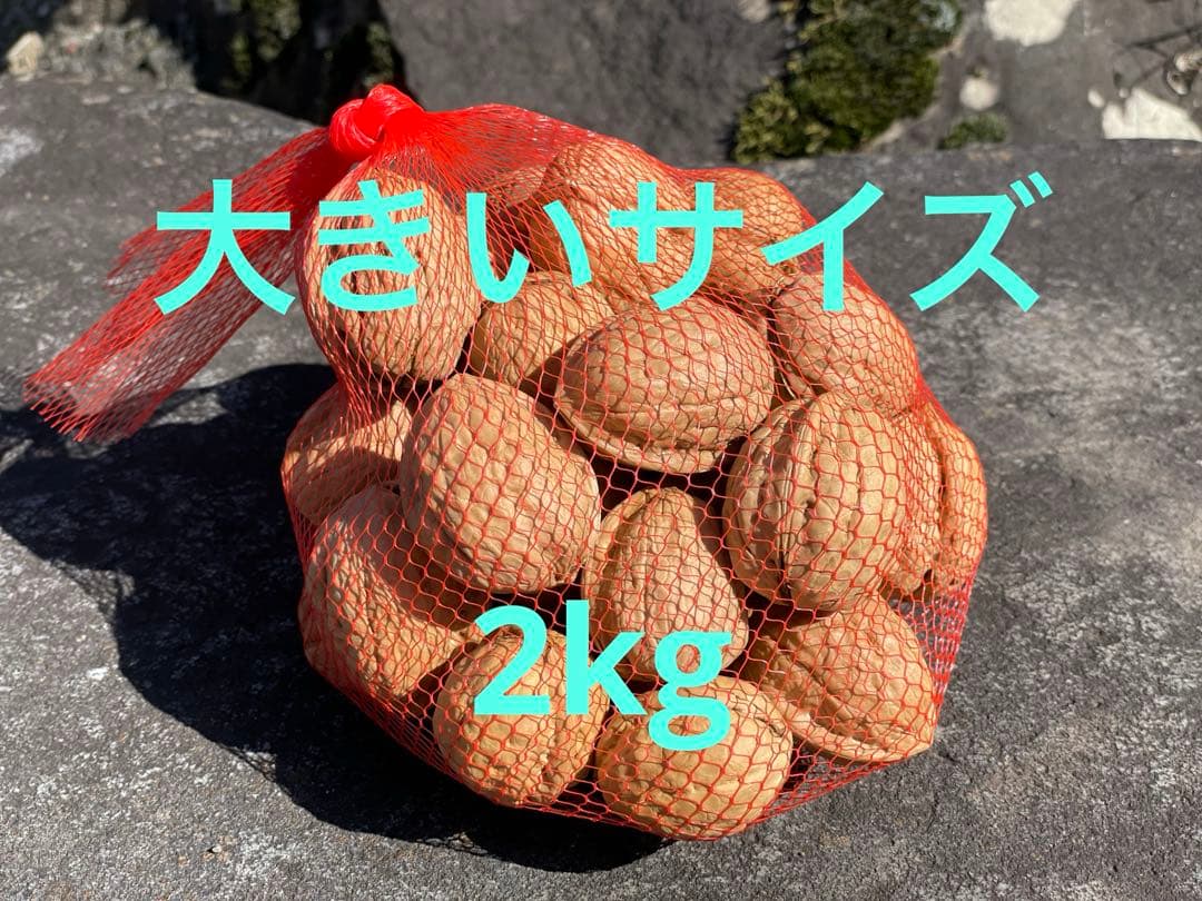 信濃くるみ【大きいサイズ】2キロ