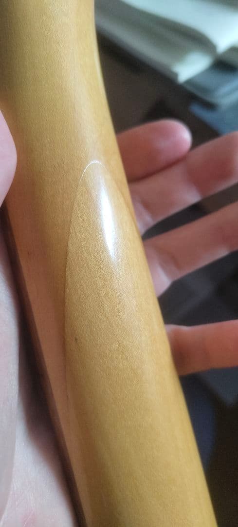 FERNANDES ターゲットMGT-48 モッキンバード ケース付き