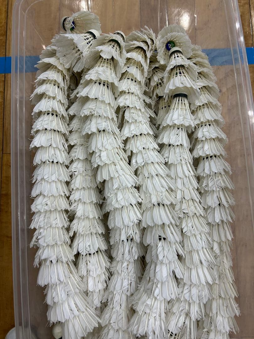 バドミントンシャトル 30ダース(360球)