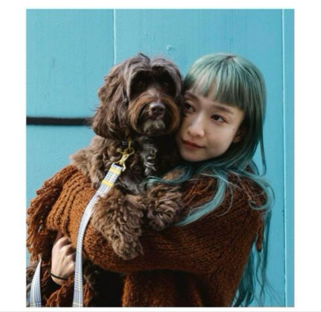 ciiron Tokyo ハーネスとリードのセット　グレンチェック