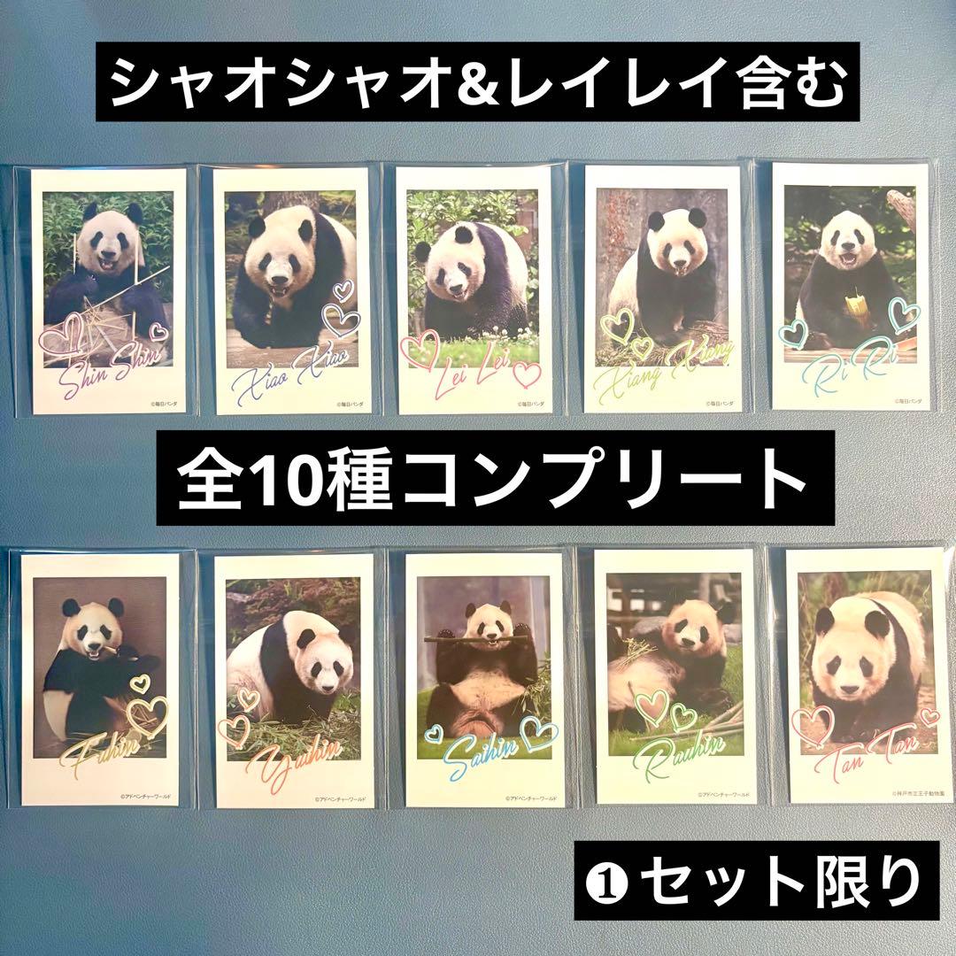 上野松坂屋　シャオシャオ　レイレイ含む　パンダフォト風カード全10種コンプリート