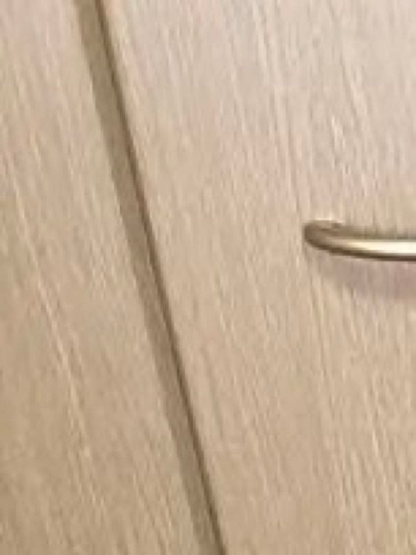 Bill Lawrence ビルローレンス　ウォルナット　エレキギター　ケース付