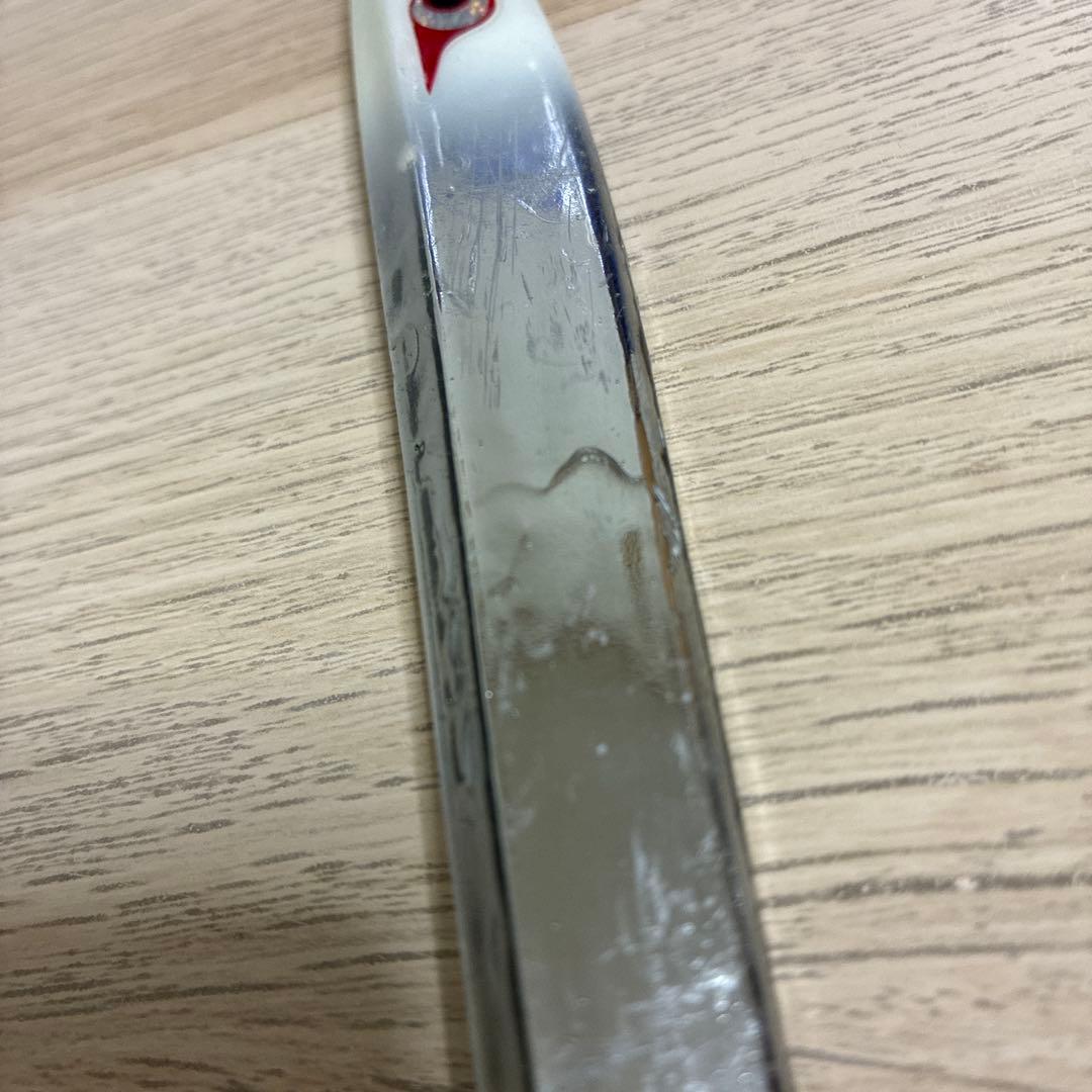 ポーズレス　TG ノブナガネオ　300gセット