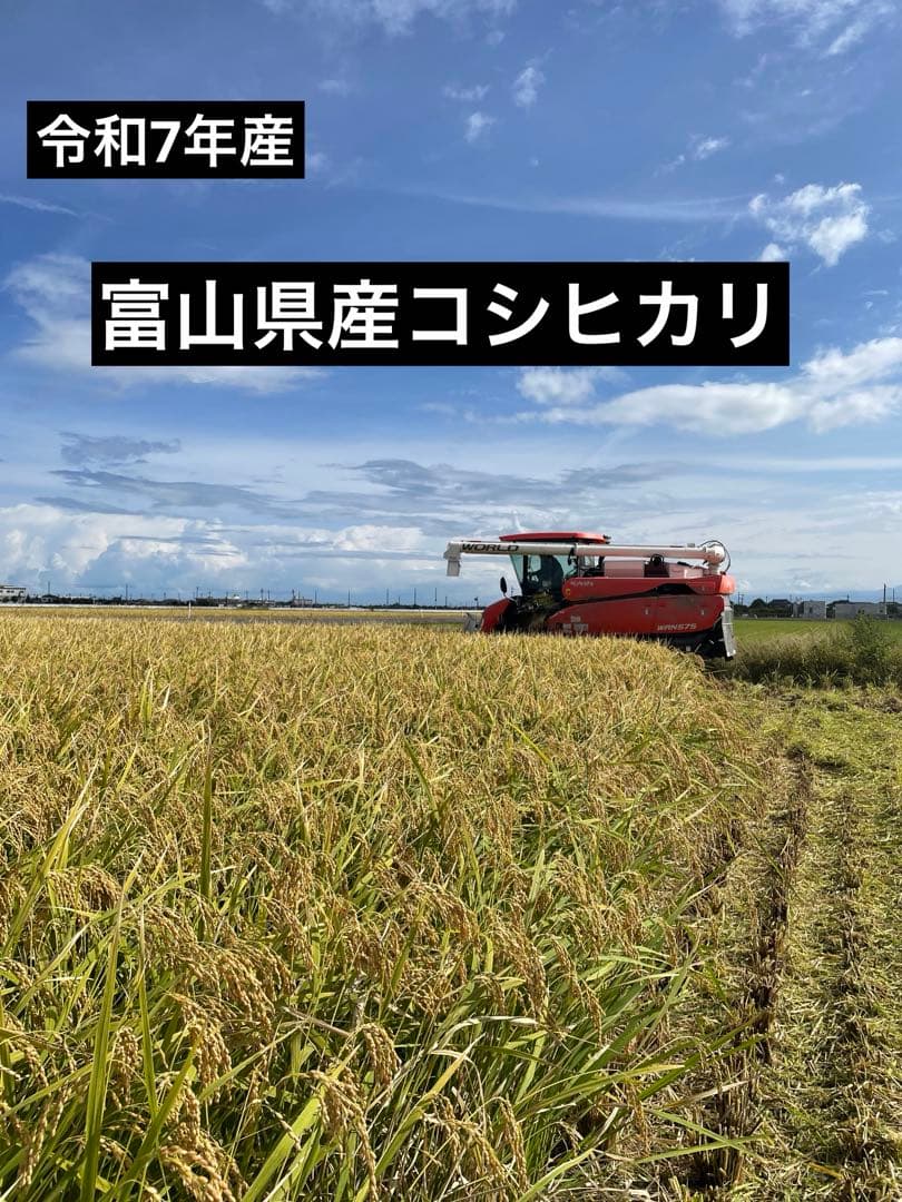 新米　富山県産コシヒカリ　玄米