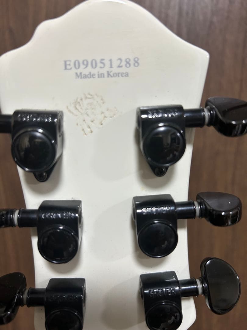 B.C. Rich モッキンバードSpecial