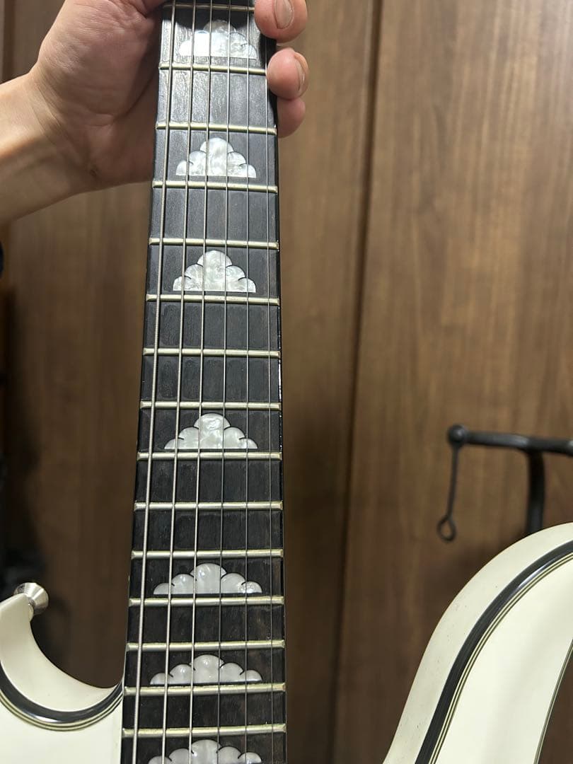 B.C. Rich モッキンバードSpecial