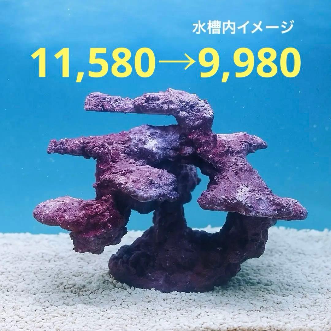 現品在庫SALE！人工ライブロック　SHR24 アク抜き済み安心塗料使用