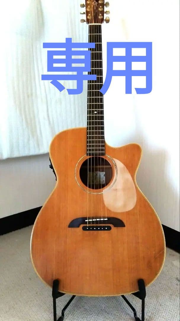 【要コメント】さま専用 ヤイリギター WEIR-1E