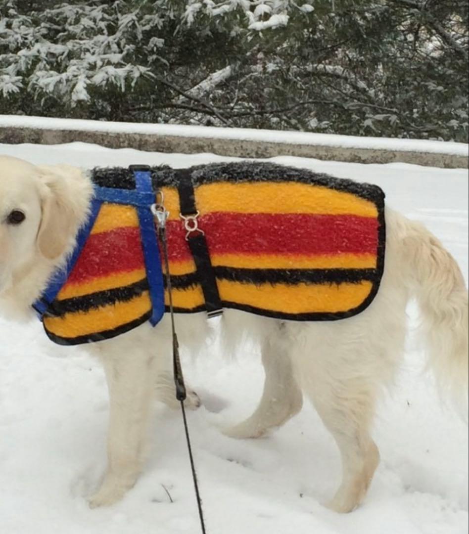 ウィング様 リクエスト 3点 まとめ商品