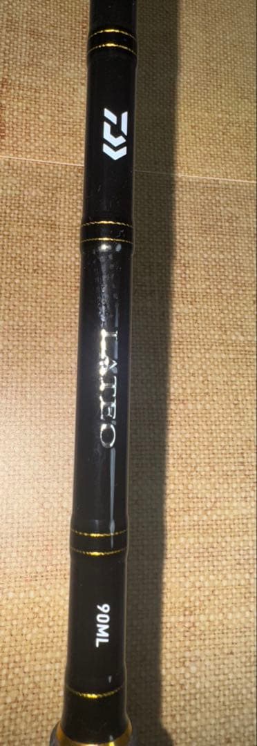 ダイワ　シーバス　ロッド