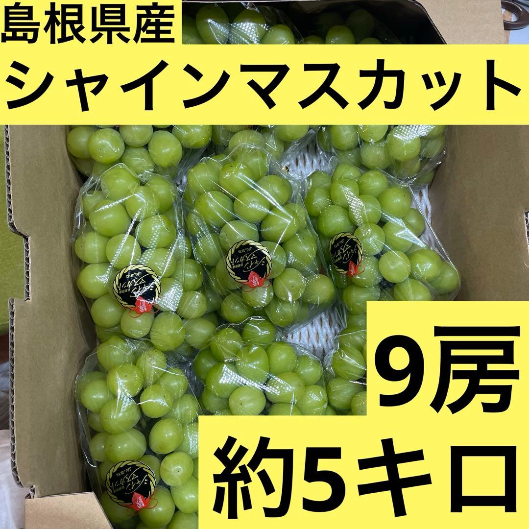 ⑩【島根県産】シャインマスカット約5キロ