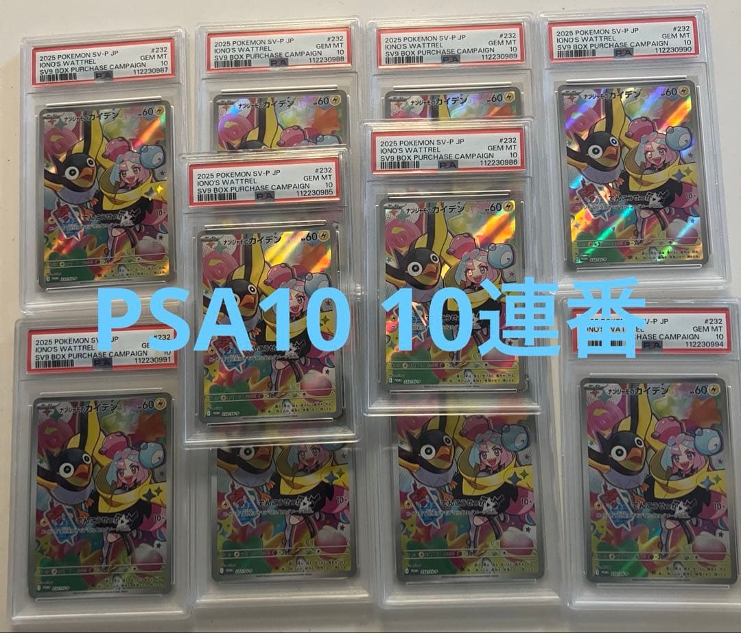 PSA10 連番 ナンジャモ カイデン プロモ 10連番