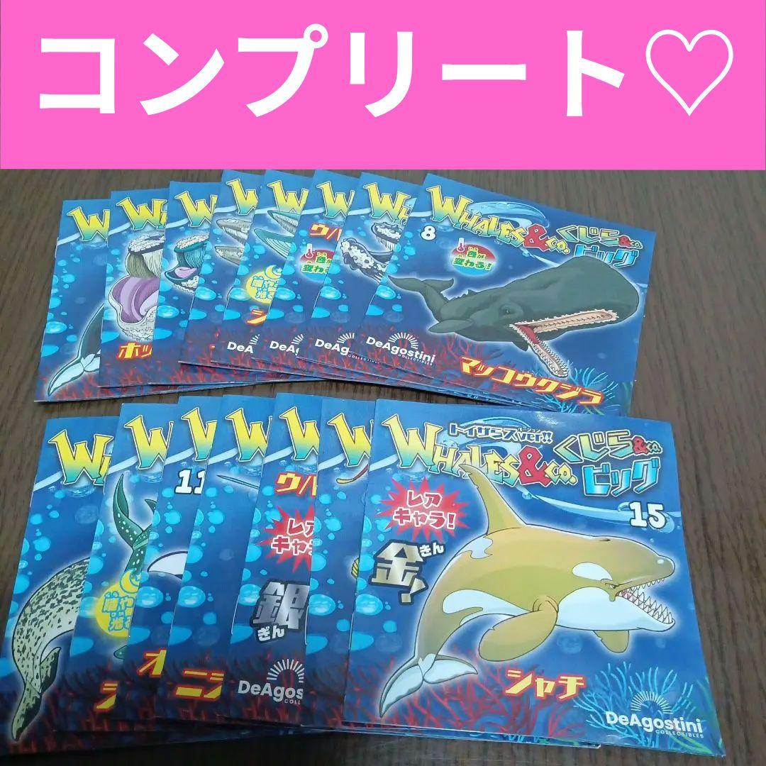 クジラアンドコー コンプリート