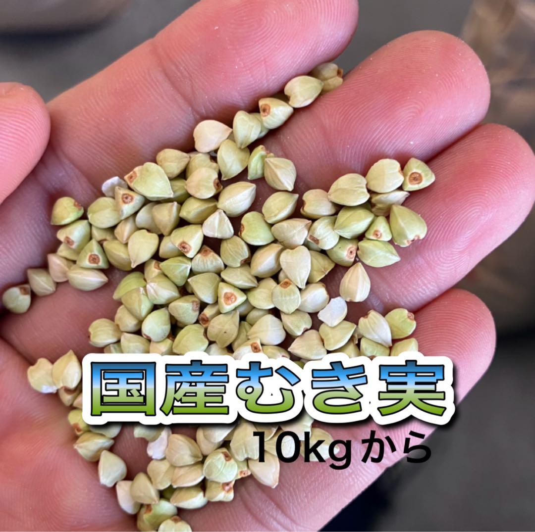 国産むき実 20kg 蕎麦　蕎麦粉　そばの実