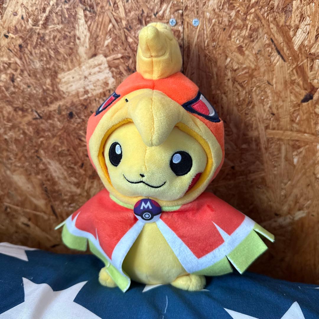 ポンチョピカチュウホウオウタグ無し