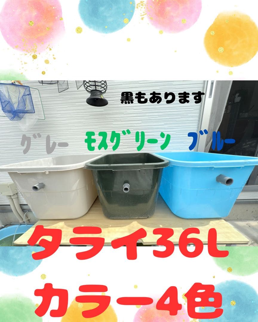 ★お買い得★たらい36L(4個)メダカ飼育容器オーバーフロー トロ舟プラ舟めだか