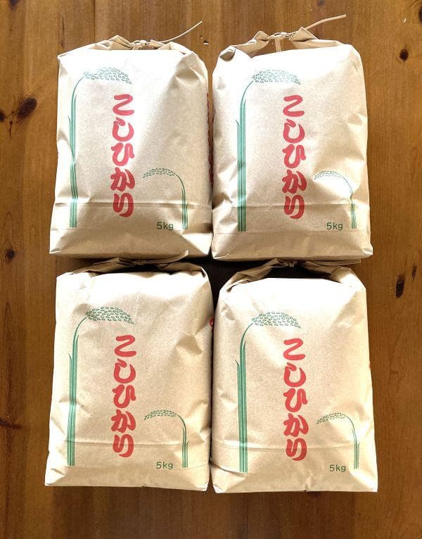 農家保有米 令和7年産 コシヒカリ 20kg(5kg×4) 玄米 20キロ 新米