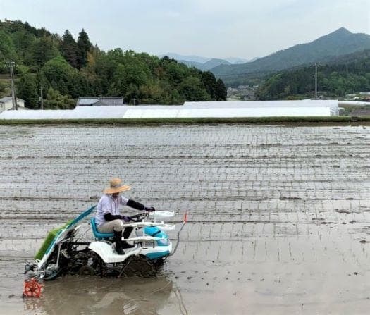 農家保有米 令和7年産 コシヒカリ 20kg(5kg×4) 玄米 20キロ 新米