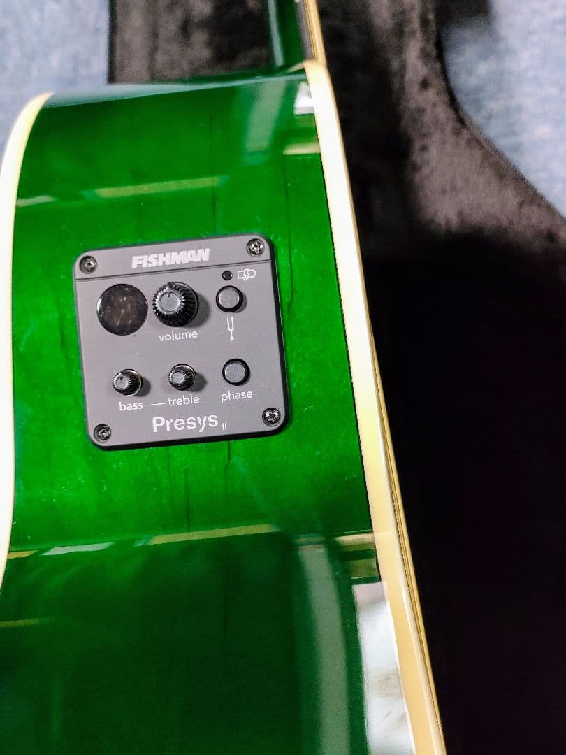 美品希少 LUNAギター エレアコ