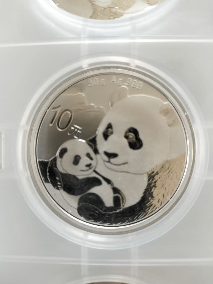 2019年 パンダ 銀貨 1オンス 6枚セット