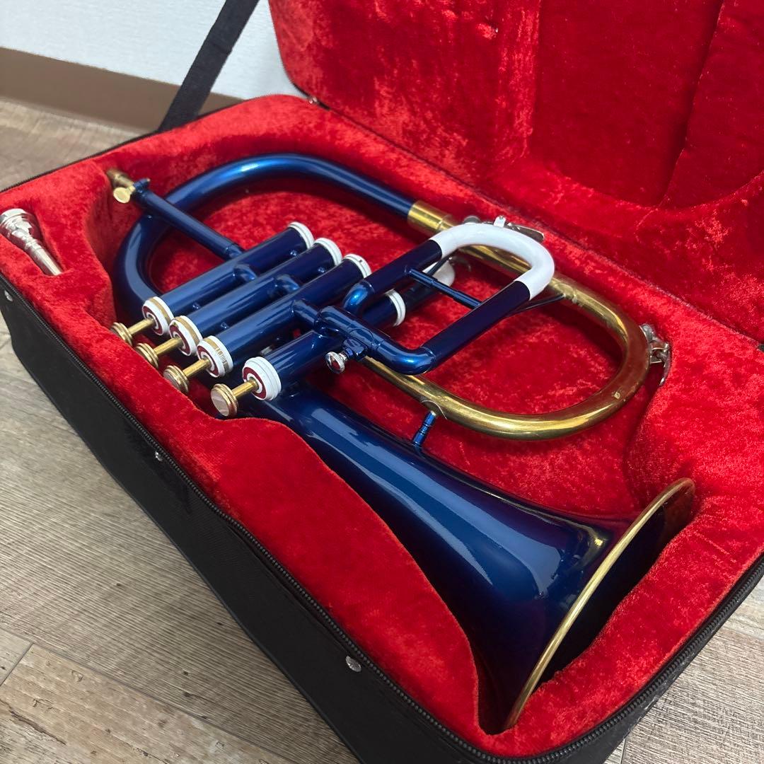 フリューゲルホルン　ブルー＆ゴールド