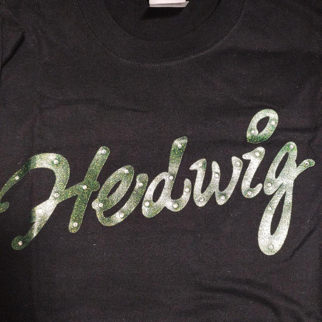 ２００５年　ヘドウィグ　T シャツ　Mサイズ　三上博史