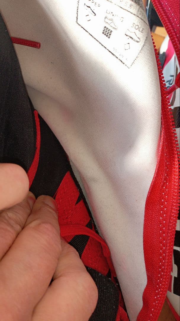 アルピナALPINAクロカンフリー用スケーティングブーツEU41