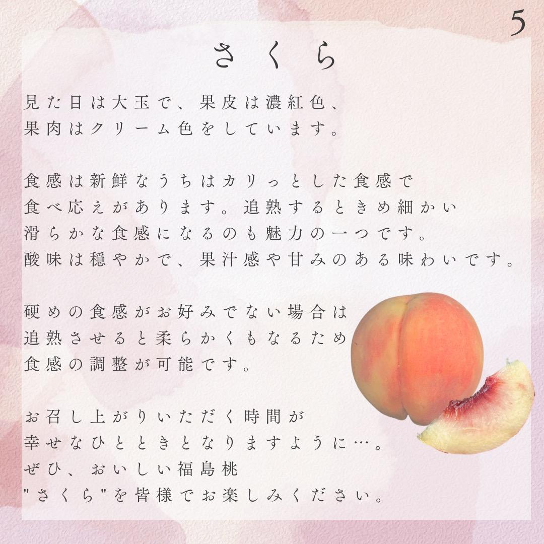 【リピ割】Luna 自宅用【さくら10kg 約24-36個】