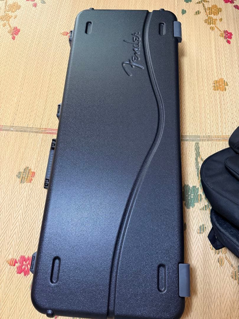 ギター Fender American Professional LTD