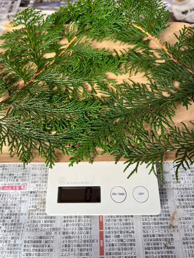 信州産　長野県産　松茸　334g 5本　辰野産