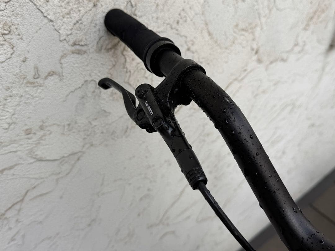 引取限定 クロモリ20インチストリートトライアル 完成車