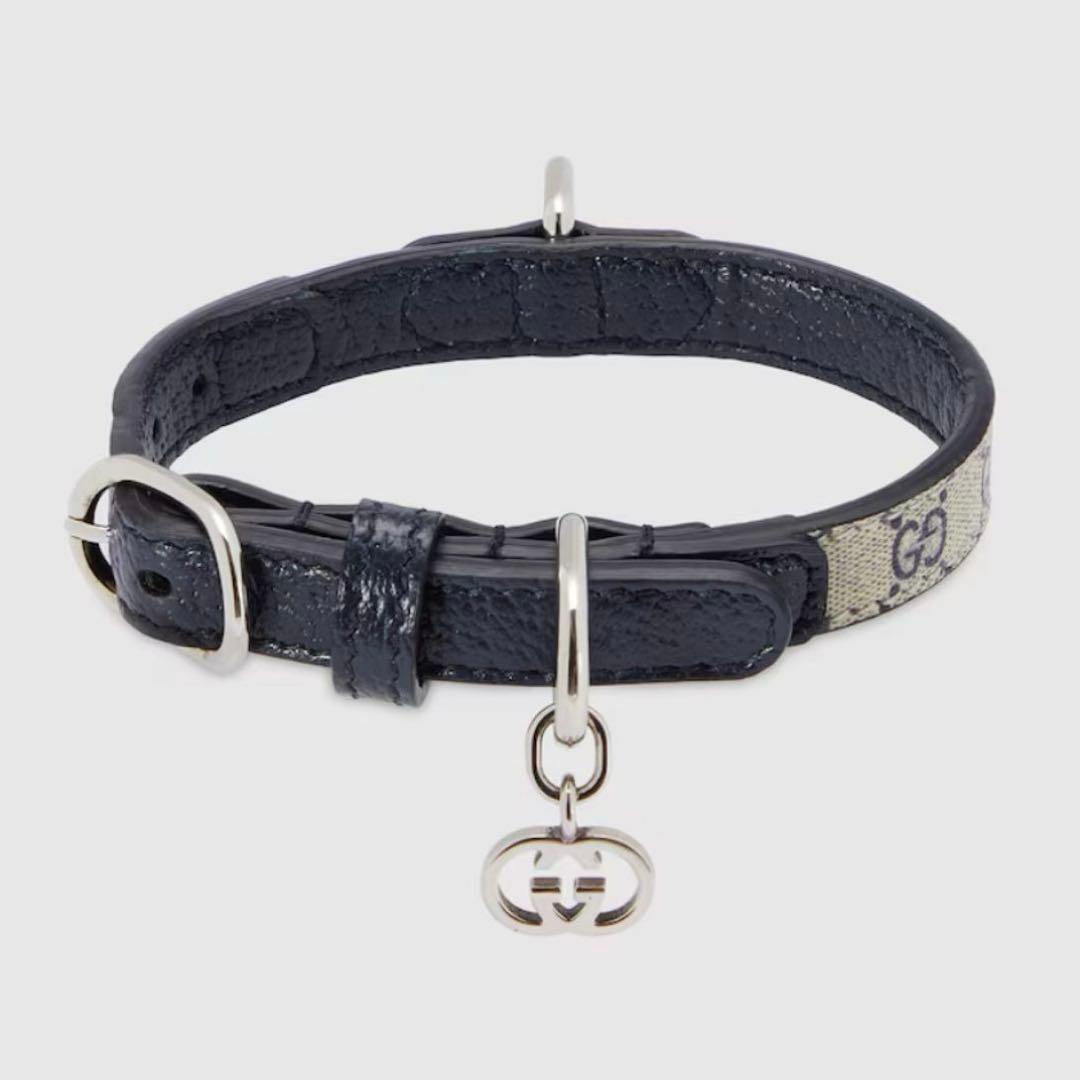 新品GUCCI グッチ エクストラスモール ペット 首輪 XXS ベージュブルー