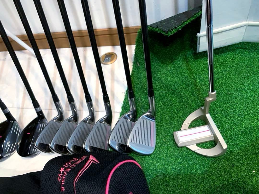 美品　ワールドイーグル　レディースゴルフクラブ 本格フルセット　プロ推進　優しい