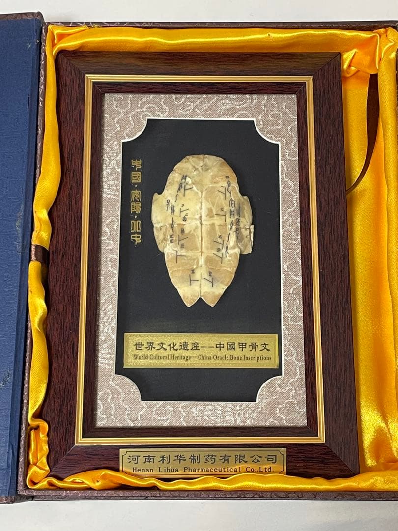 中国甲骨文　世界文化遺産　土産