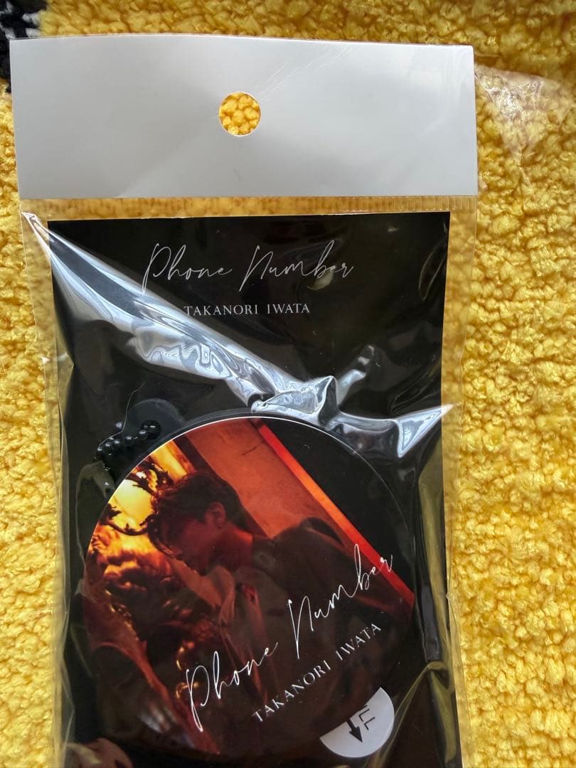 岩田剛典 グッズ+KINGDOM LIVE PHOTOBOOK B