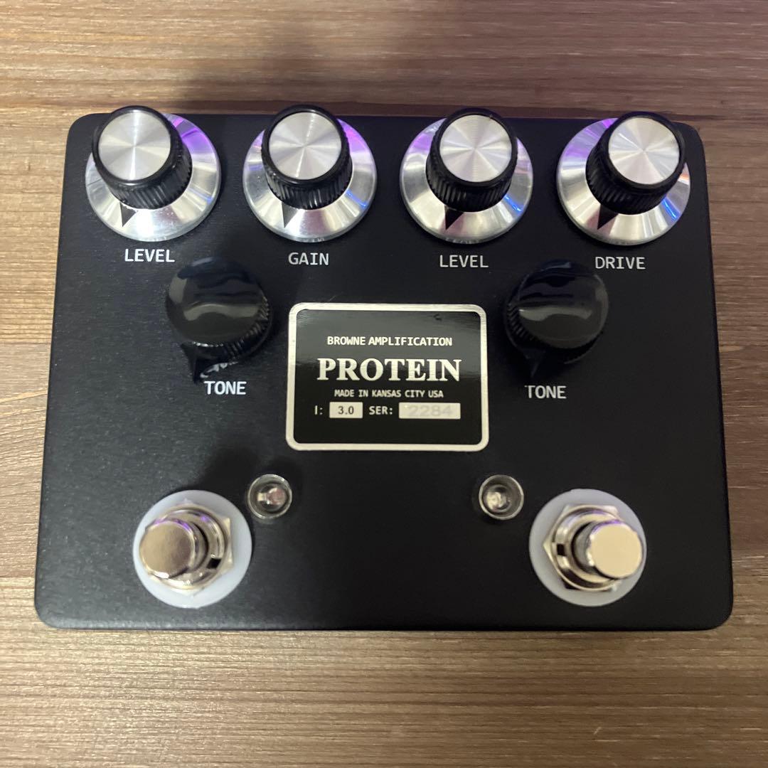 browne amplification PROTEIN クローン