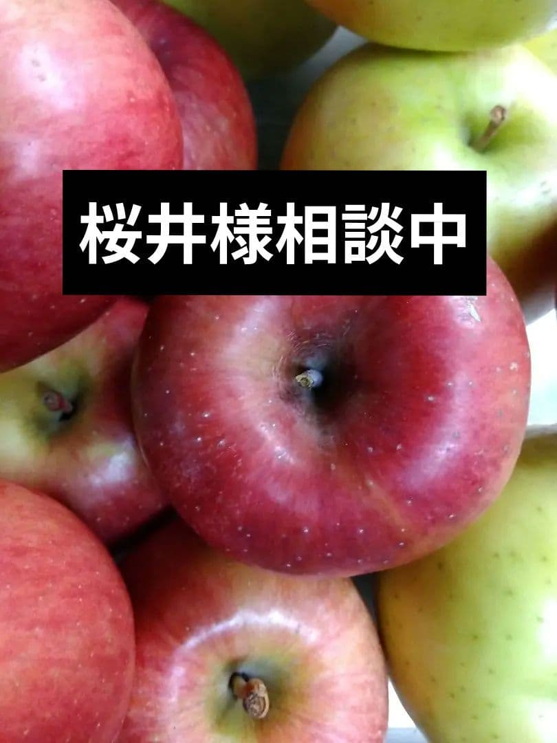 農薬不使用　４種リンゴ　10キロ位と完熟プルーン1.7キロ サンプルーン400g