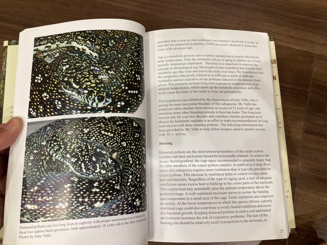 洋書 Complete Carpet Python 以下検索 蛇 パイソン ボア