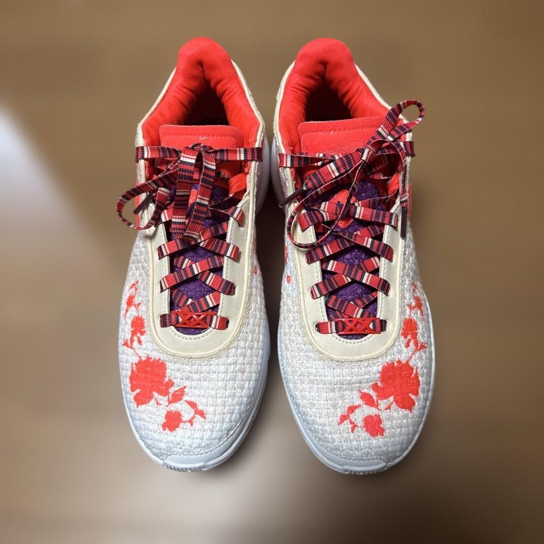 28.5 NIKE LEBRON 20 EP レブロン　バスケットシューズ