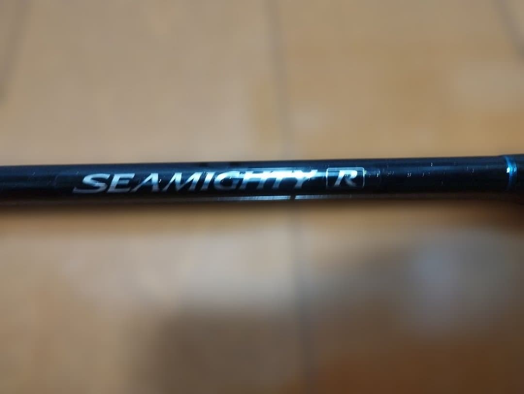 SHIMANO SEAMIGHTY R64　30-300