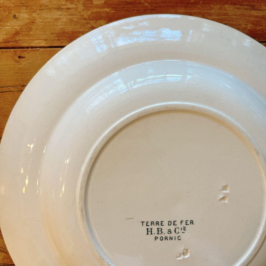 ショワジールロワ　淡いグリーンが素敵な花柄のスーププレート