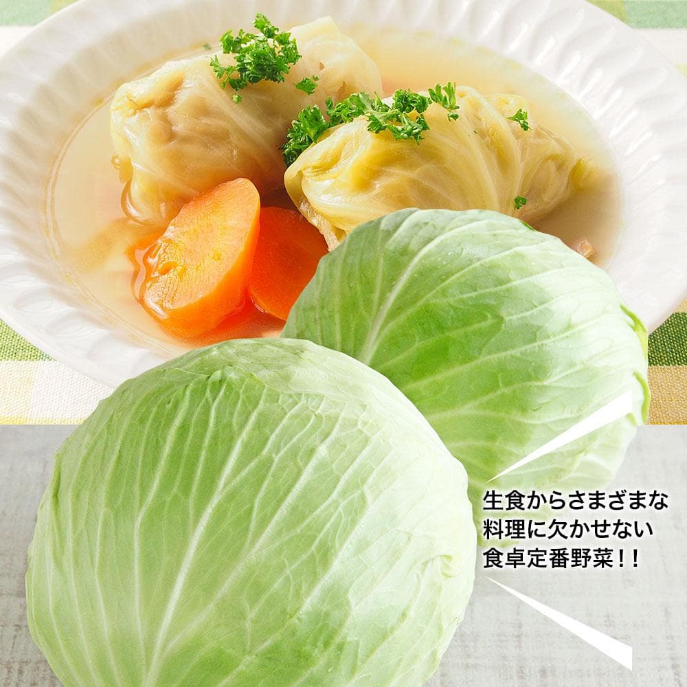 野菜セットA（キャベツ5玉・ピーマン約2.5kg・にんじん約5kg） 3種セット