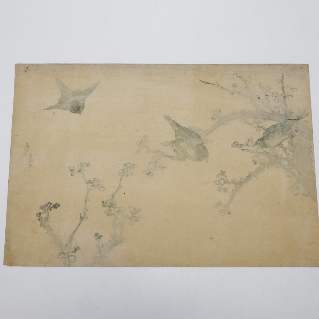 葛飾北斎　大判　木版画　花鳥図　浮世絵　梅　鳥