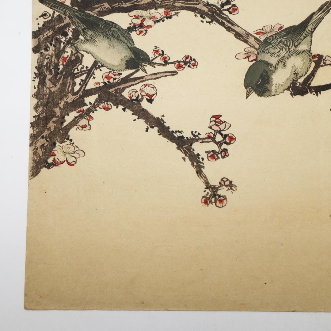 葛飾北斎　大判　木版画　花鳥図　浮世絵　梅　鳥