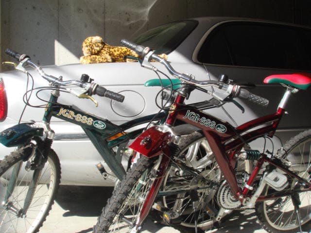 ジャガー　マウンテン　自転車　右のえんじ色