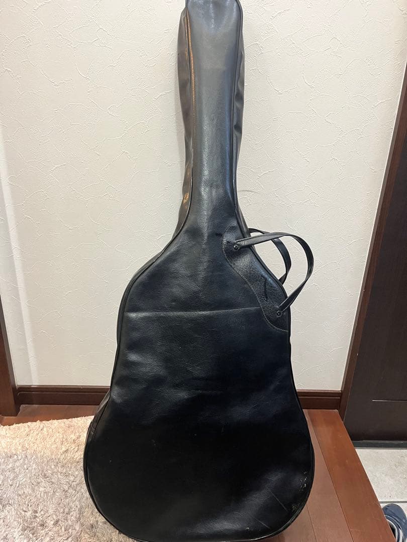 Morris W20 ギター アコースティックギター モーリス