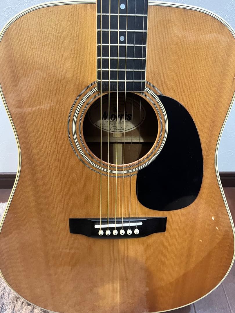 Morris W20 ギター アコースティックギター モーリス