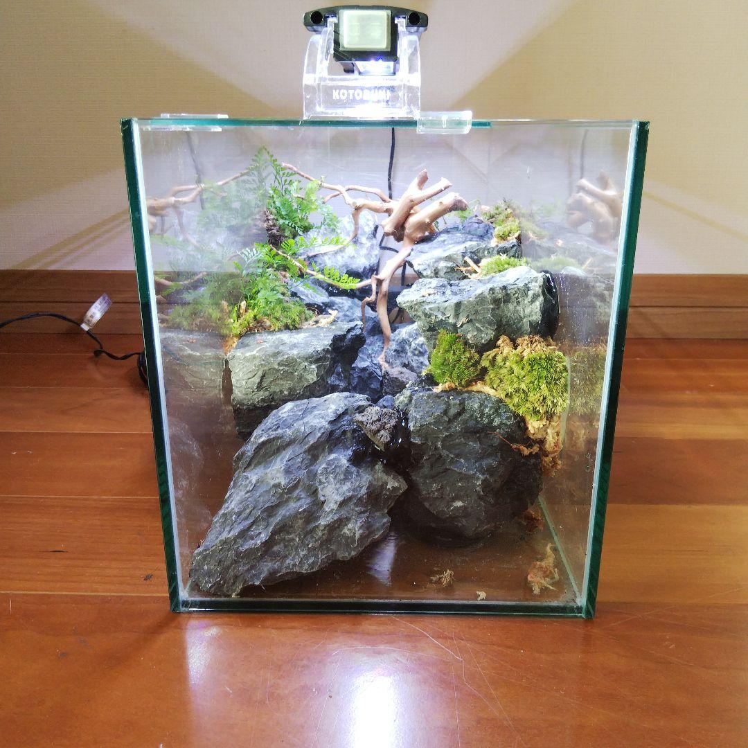 【受注生産】横から見るアクアテラリウム