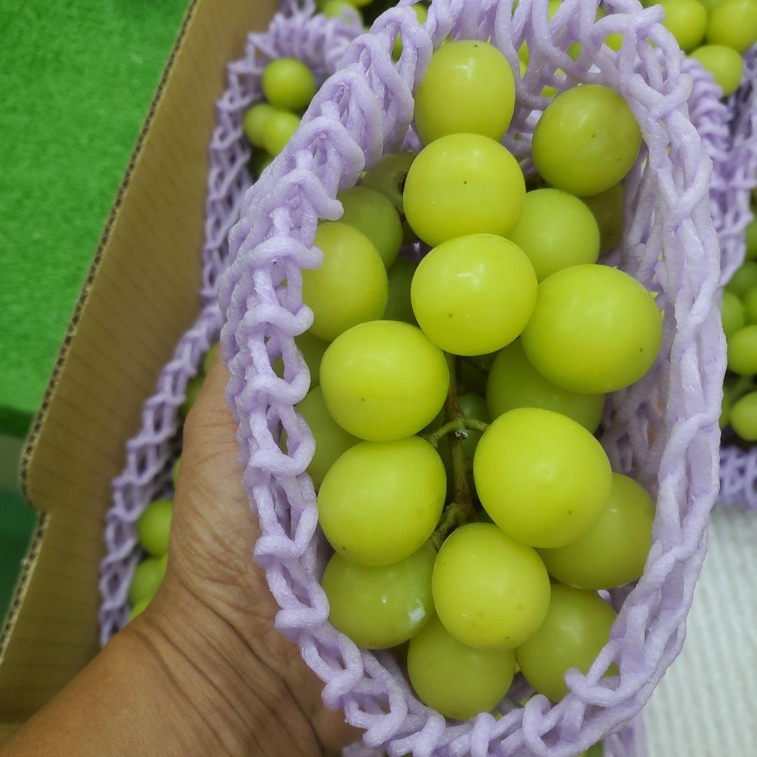 7️⃣ 山梨県産 シャインマスカット １２房入り 箱込み5.5キロ